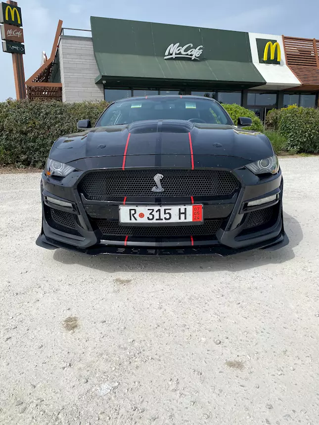 Mustang Shelby