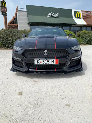 Mustang Shelby