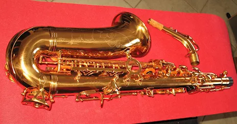 SELMER SA80 Style Sax Alto Oro Galvanico Nuovo (Garanzia), modello unbranded - Anteprima 5