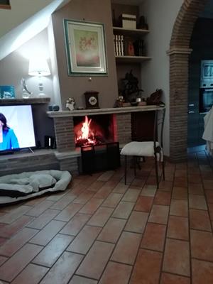  perfette condizioni TMAX 500