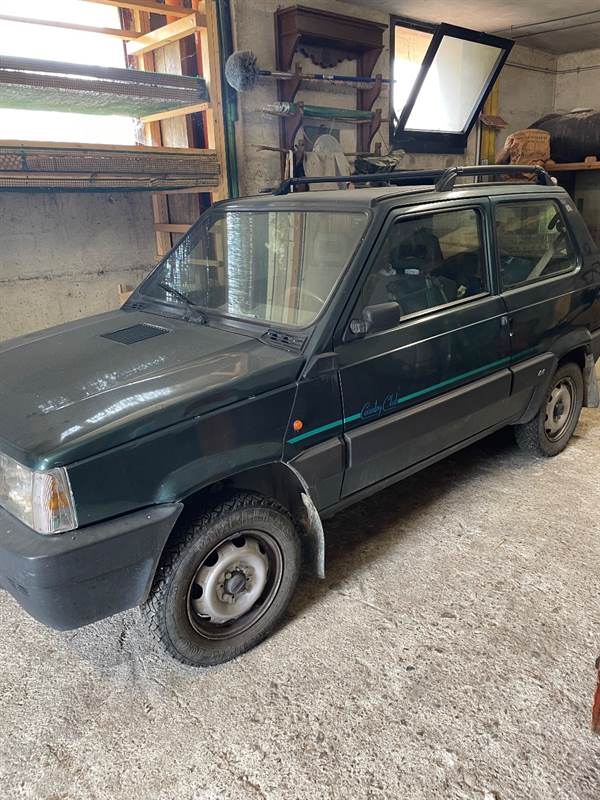 Fiat Modello Panda 4x4 Benzina Manuale - Foto 5