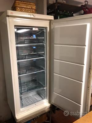 Congelatore professionale AEG Electrolux Arctis