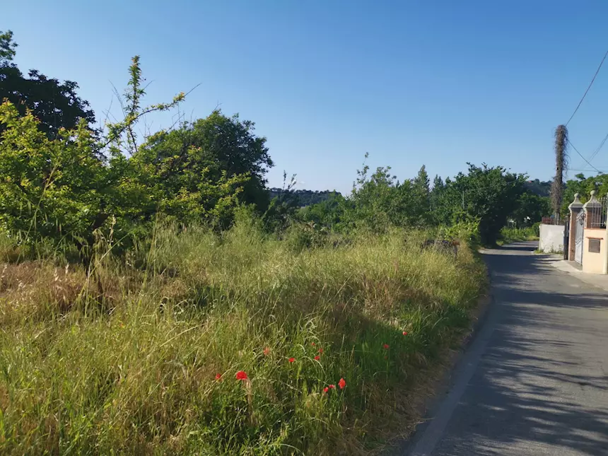 Pozzuoli adiac. via Campana Terreno di 38.000mq - Foto 2