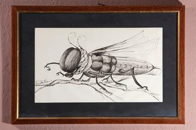Coppia disegni a penna su carta La mosca