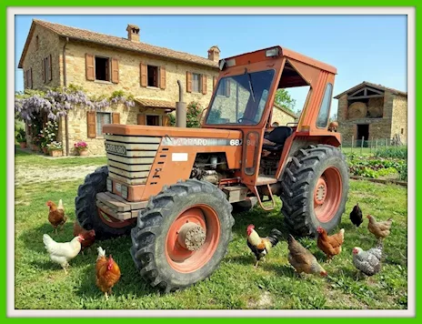 Trattore agricolo Carraro 68.4 DT Cavalli 68