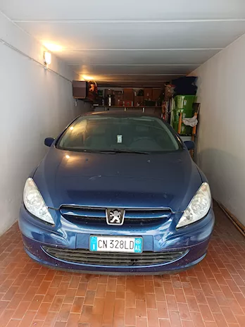 Peugeot 307