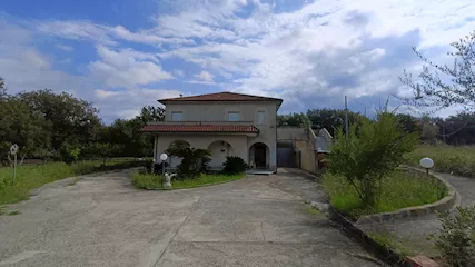 350 Zampini
