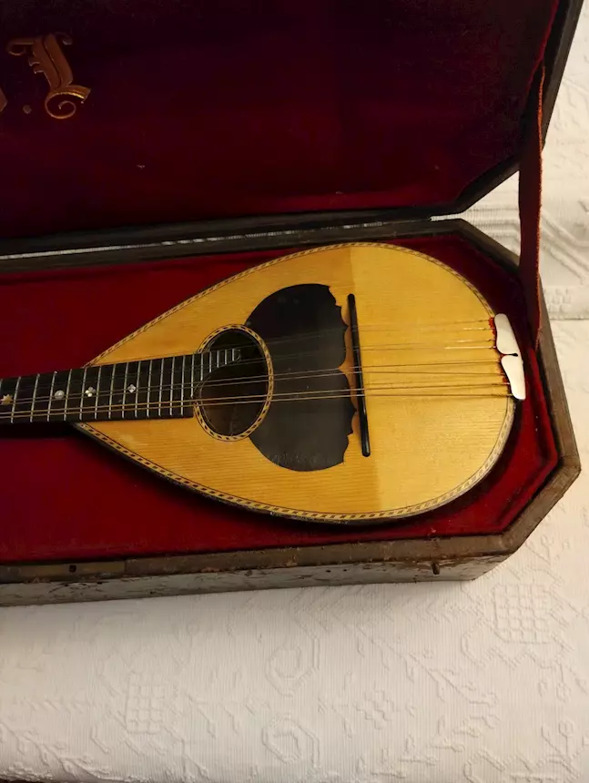 Foto 5Offresi mandolino (Achille Capannari), mai usato