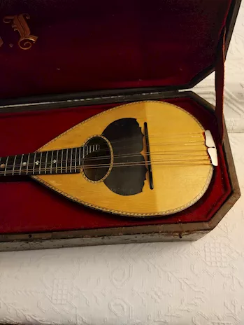 Offresi mandolino (Achille Capannari), mai usato - Anteprima 5
