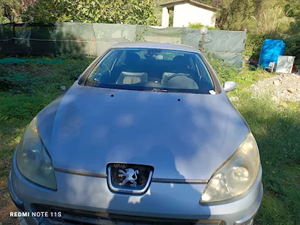 Peugeot Modello 407 Anno 2005 Km 350000 Berlina - Anteprima 1