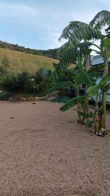 Sardegna Porto San Paolo 1500 mq terreno agricolo - Foto 4