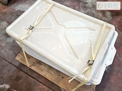 Coperchi per cassette pizza transport usate - Foto 2