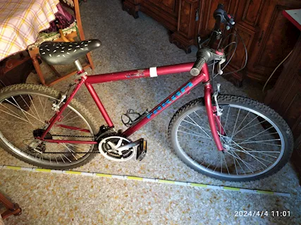 - Bicicletta Mbike marca FARAM colore