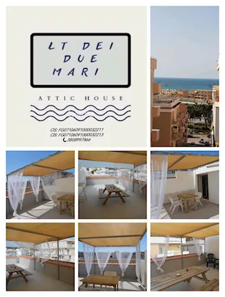 ATTIC HAUSE Lt Dei Due Mari - Vieste - Foto 5