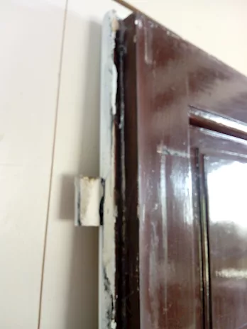 Portone in legno di Pino a 2 ante con pannello interno lacca, ottime condizioni - Anteprima 5