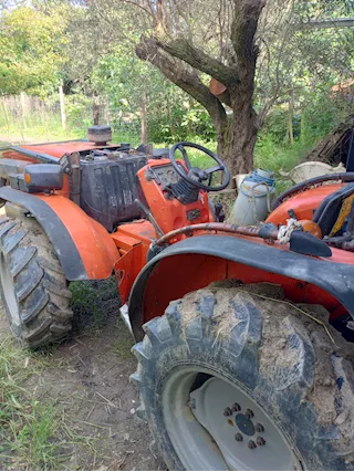 Frutteto Carraro
