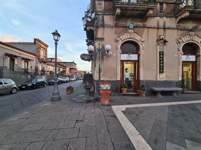 Foto - 7