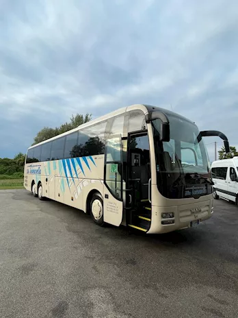 Man Lion’s Coach
