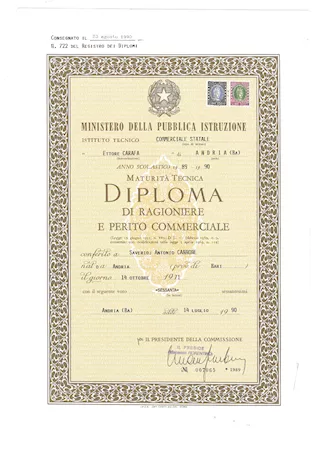 Curriculum vitae lavorativo da esperto