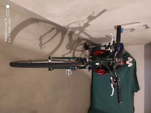 Bicicletta trekking