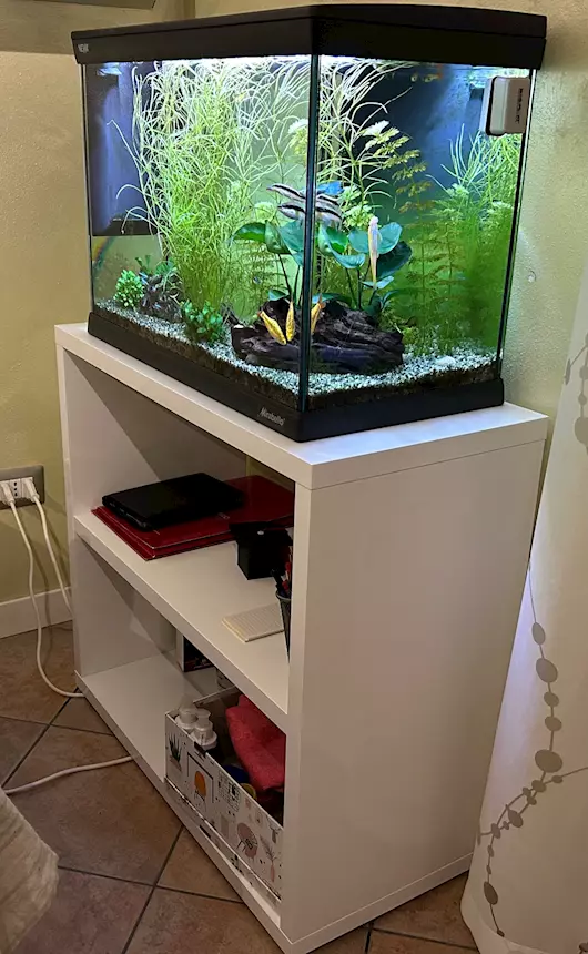 Foto 2Acquario NEWA