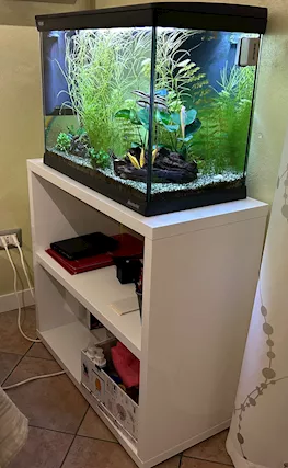 Acquario NEWA - Anteprima 2