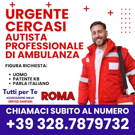 Cercasi autista professionista zona Roma