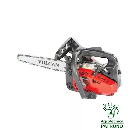 Motosega potatura Vulcan MS2500 Carving