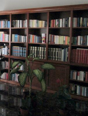 Libreria in noce italiano cm 357X215 - Foto 2