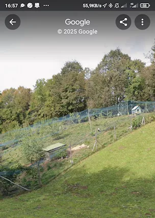 Rete antivolatili