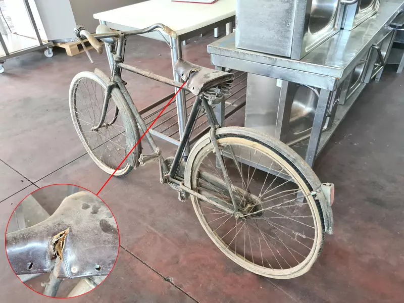 Bicicletta d'epoca, bici da città, stampa fotografica su legno, pittura