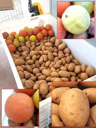 Patate in plastica per taratura macchinari usate
