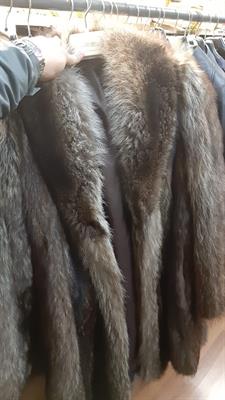 Pellicce 23736, in buone condizioni - Foto 4