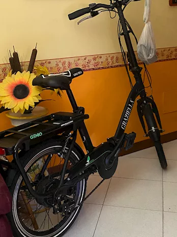 Bottecchia Genio Graziella