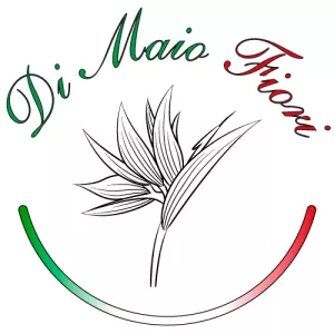Agente Commerciale