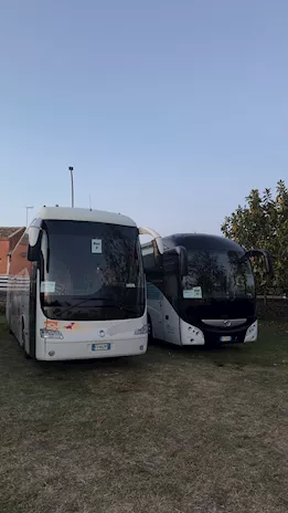 Iveco Domino Mercedes Sprinter
