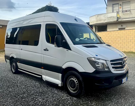 Sprinter 9 posti, disabili