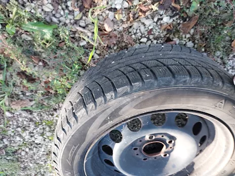 Gomme antineve