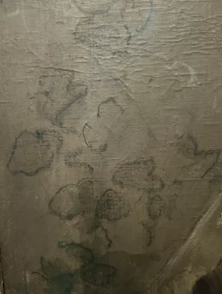 Antico dipinto olio su tela raffigurante Popolana abruzzese - Foto 4