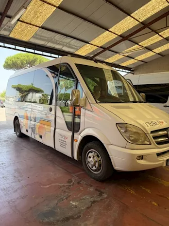 Sprinter 519