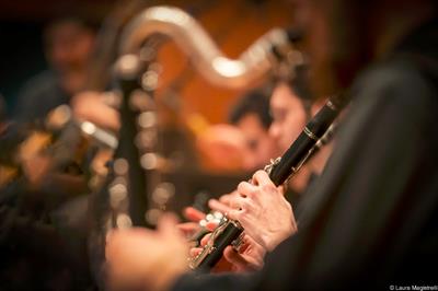 Lezioni di Clarinetto/Clarinetto Basso/Piano/Teoria Musicale - Anteprima 1