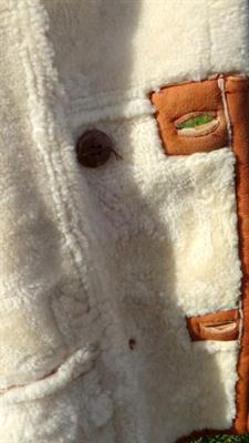 Montone shearling originale uomo - Anteprima 6