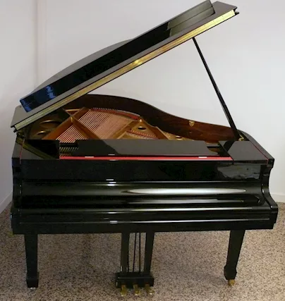 Pianoforte quarto di coda