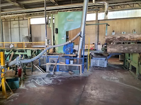 SEGA TRONCHI USATA - SECOND HAND LOG SAW