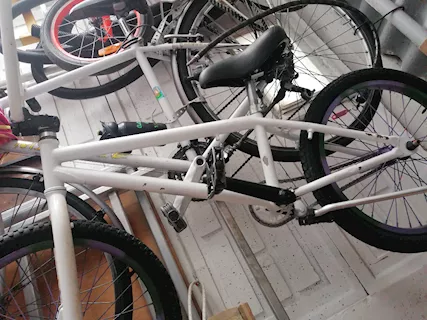 Bicicletta SPORT BIKE Diametro cm 50