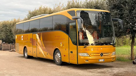 Tourismo 12m Euro 5 anno 2010