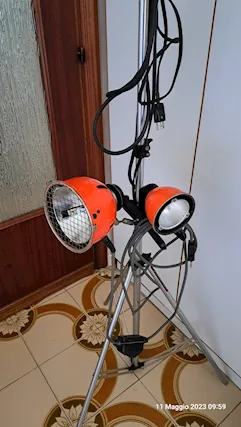 2 Faretti marca IANIRO a fuoco variabile. 100€