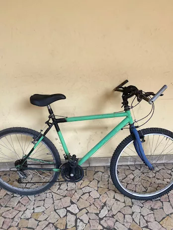 Bici -la mia bicicletta. Ha freni