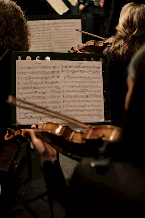 Violinista Lavagna