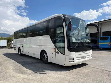 Man Lion's Coach